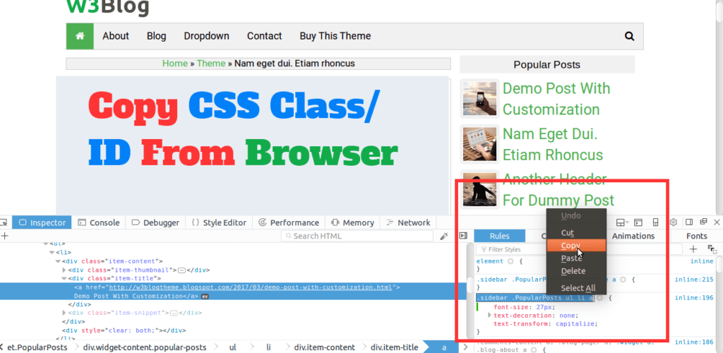 copy class or id of customize css