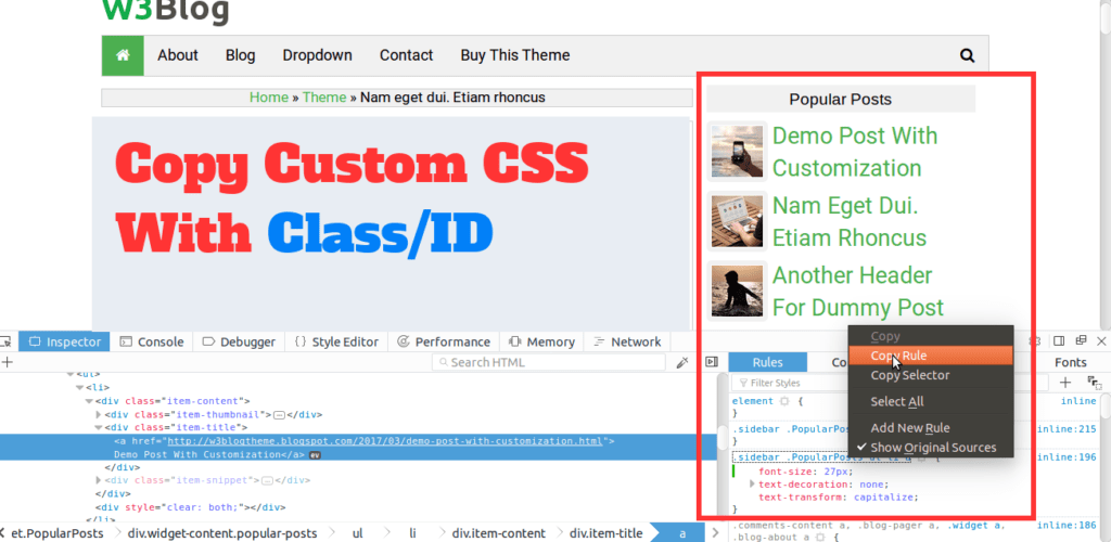 copy the customize css to paste blogger html